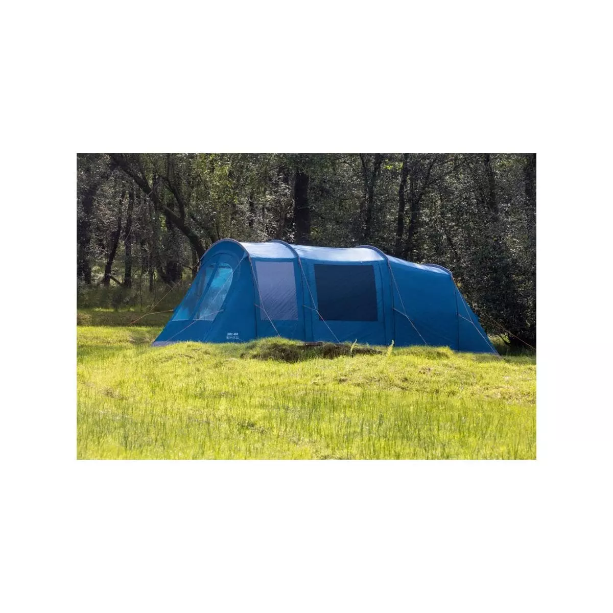 Vango Joro 450 Tunnelzelt, 4-Personen, 600x300cm, Blau – Bild 3