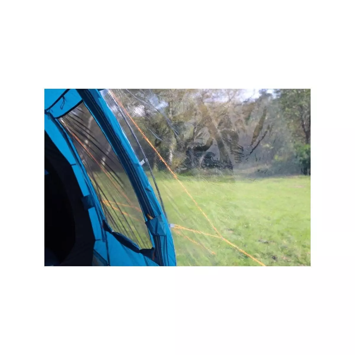 Vango Joro 450 Tunnelzelt, 4-Personen, 600x300cm, Blau – Bild 9